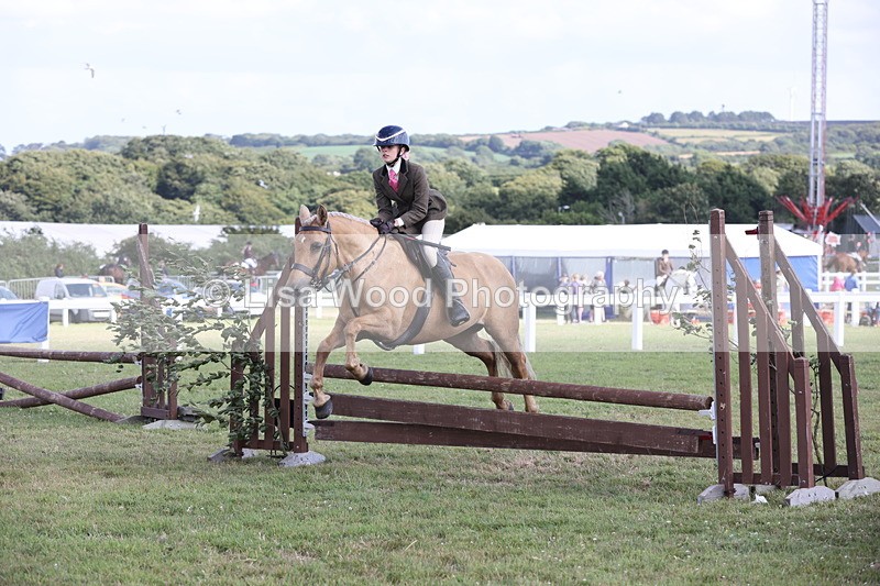 JPP_2711 - Class 20: Working Hunter 70cm