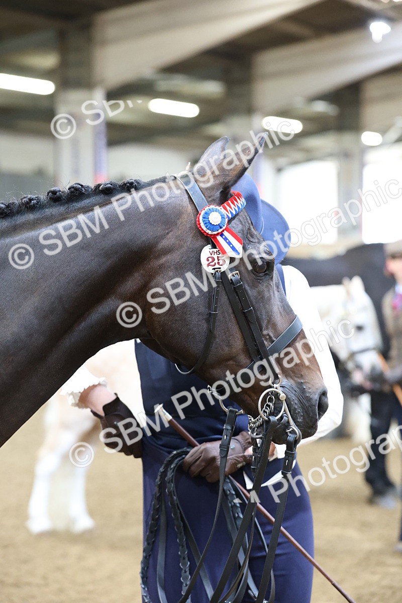 SBM_21831 - Class 901 - Supreme Final - IH  Diamond