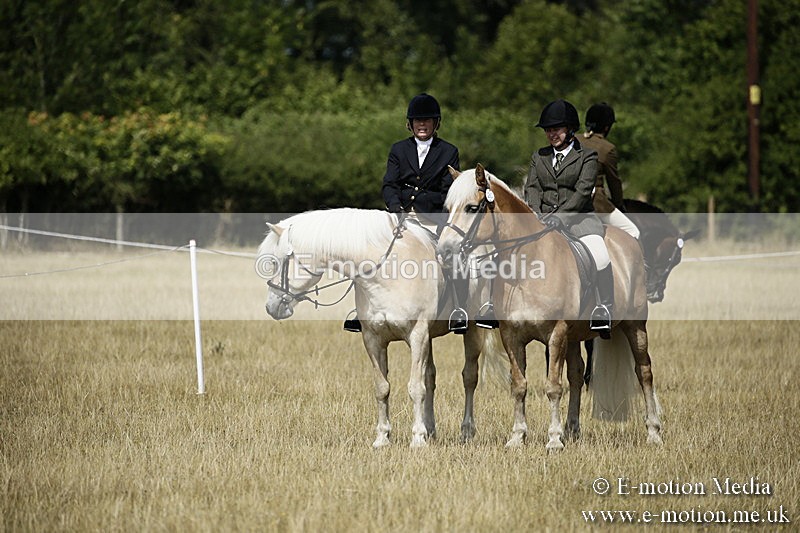 _EP59141 - Roving Camera BVRC Show 2018