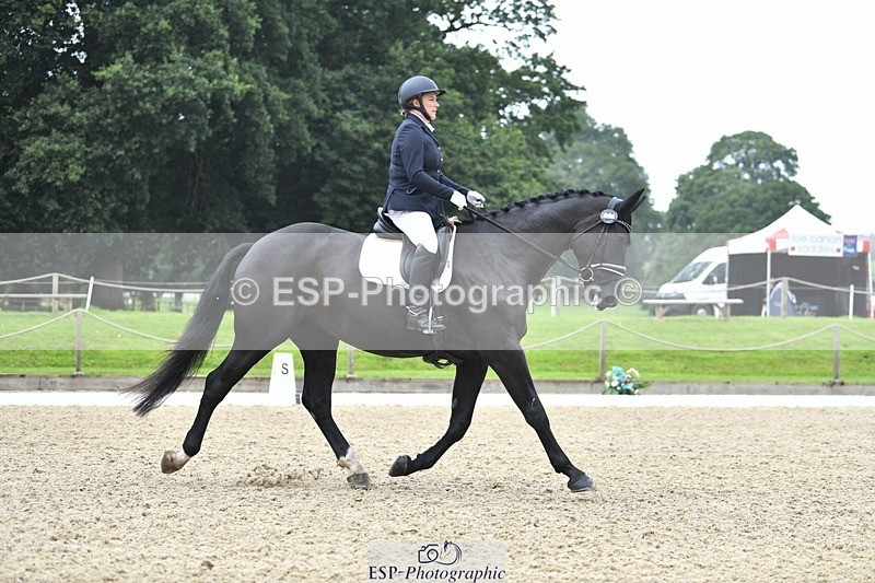 230812-103232-03397 - Cls 6 Novice Silver 10.30 to 11.55 break