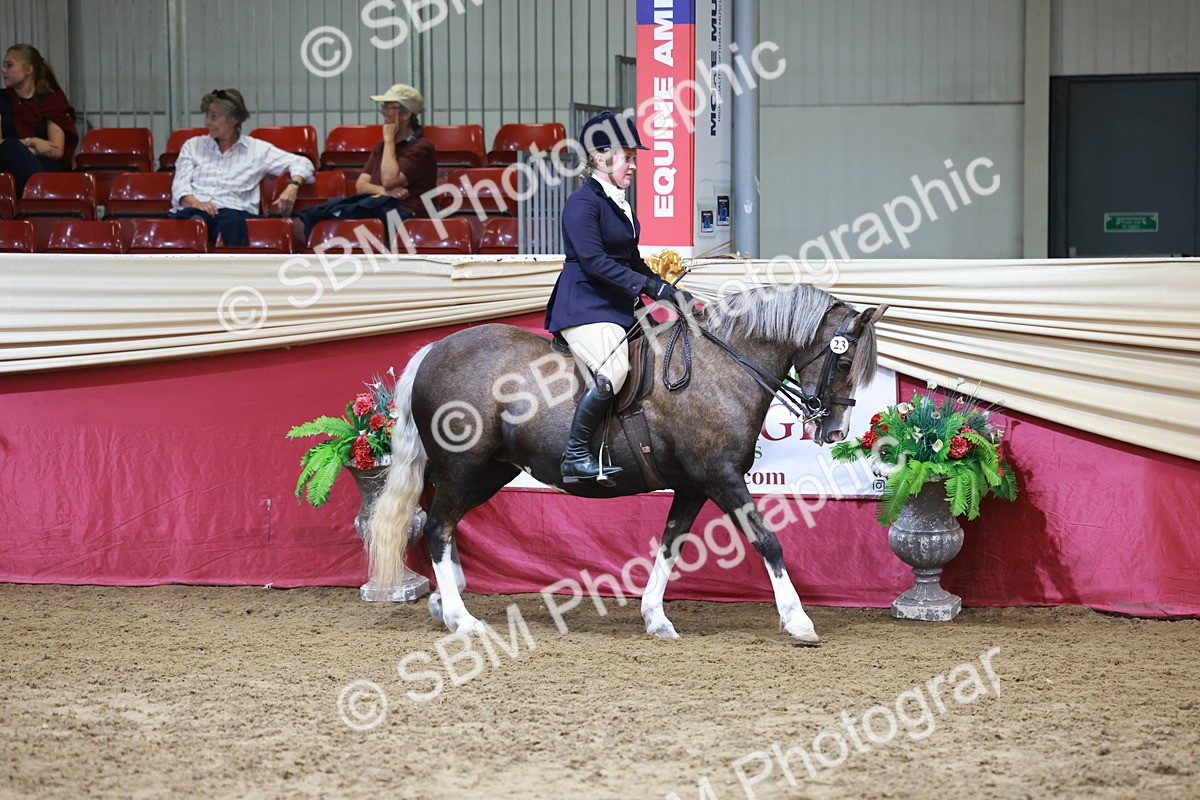 SBM_18529 - Class 952 - M&M Ridden Supreme Final