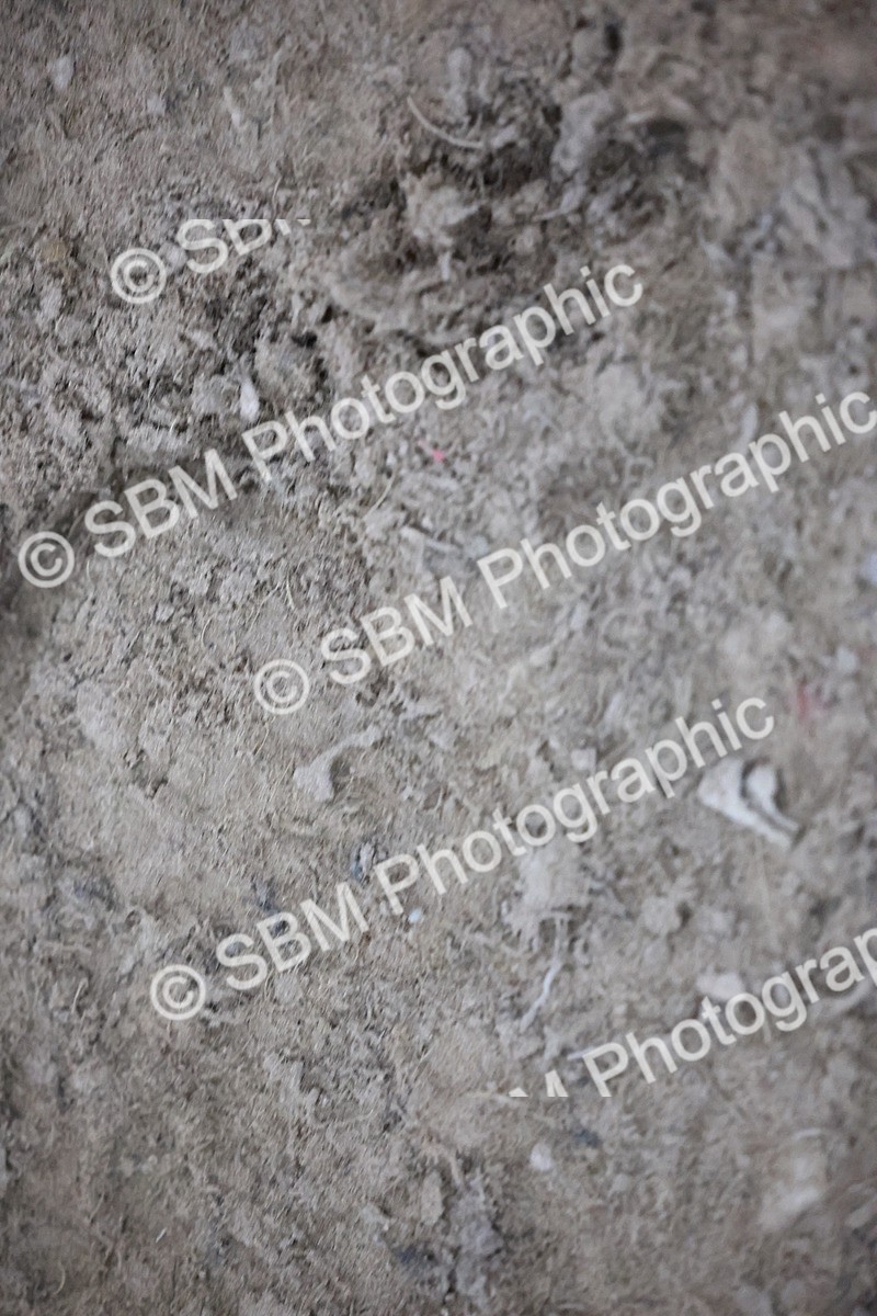 SBM_005483 - Evening Performance