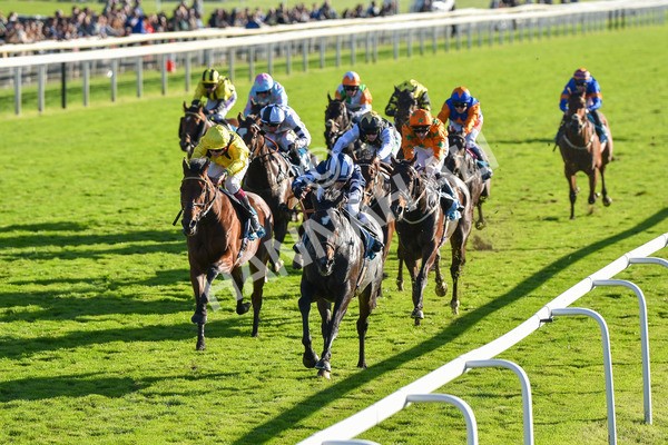 141023-Race 5-Certain Lad-1336 - Race 5 3.35pm Coral Racing Bet Bundles Handicap