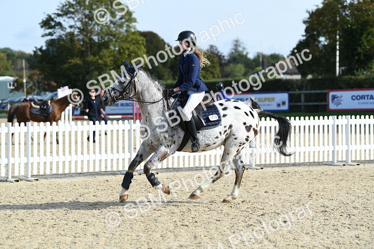 SBM_60727 - j25 - Junior Horse 80cm Championship