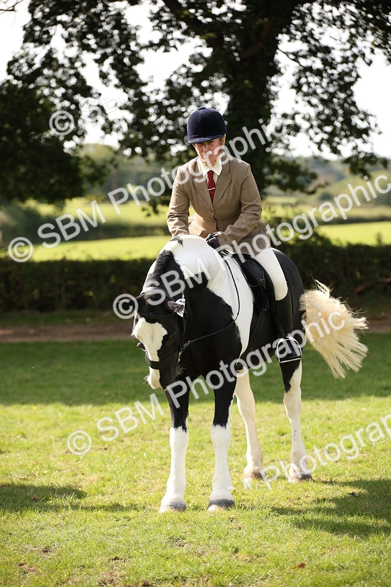 SBM_70098 - S65 - Piebald & Skewbald Horse Ridden