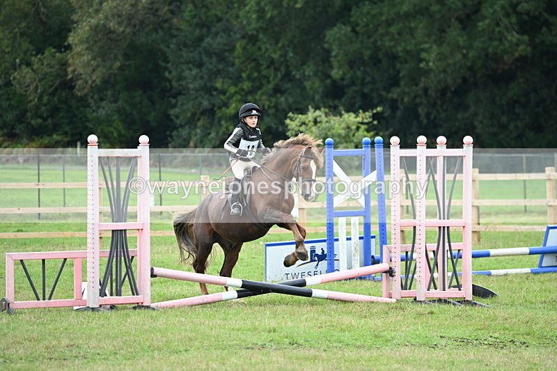 WJ6_0271 - 40cm Time 10:00 to 10:28