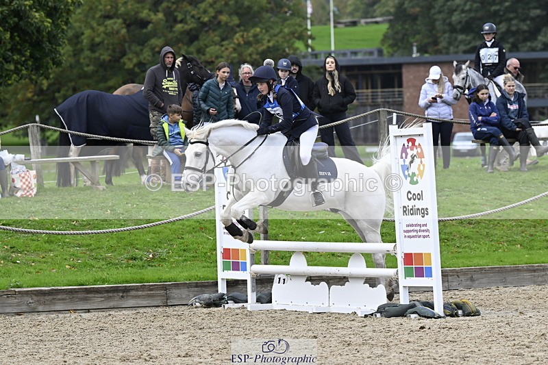 251005A-130804-04070 - Cls 08 Mini 70-75cm