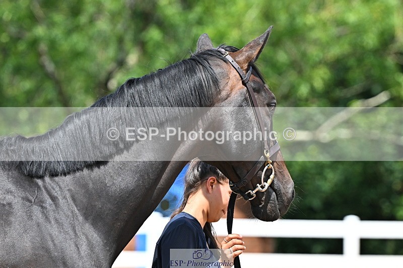 240718A-105315-01768 - Trot Up 1pm to 2pm