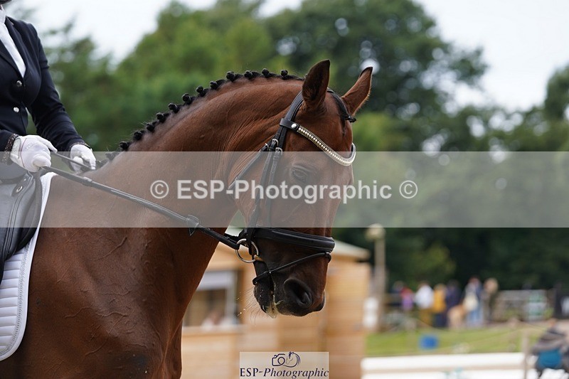 240721-104248-07664 - 127-Danielle_Thackray-Romanno_Maydream