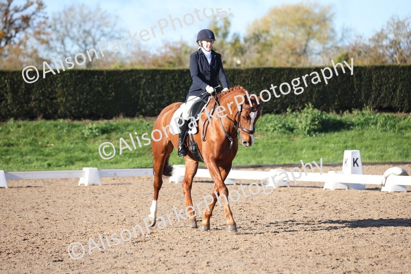 20251102-0518 - Class 3 - Novice 5