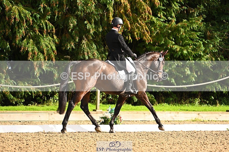 231020-144304-10334 - 210-TREGARON-Gubby.Leech-DR