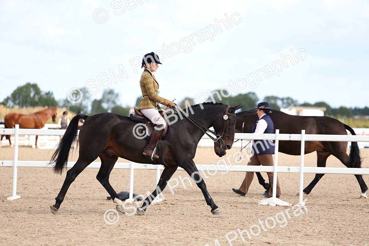 SBM_10161 - Class 304 - Ridden Part Bred Horse Pony