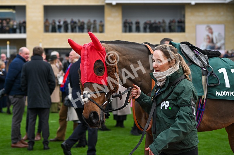 161124-Race 4-Paddock-Il Ridoto-0110 - Race 4