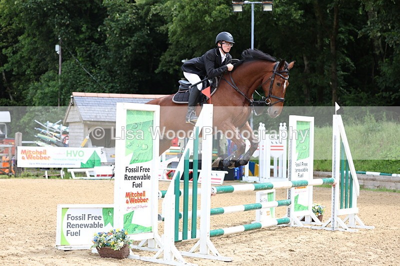 3E7A5877 - Class 4: Senior British Novice/90cm open