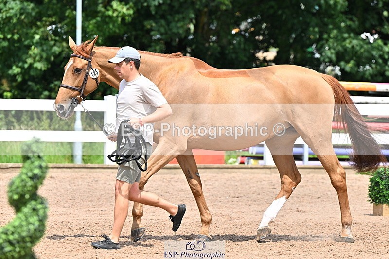 240718A-105319-01854 - Trot Up 1pm to 2pm