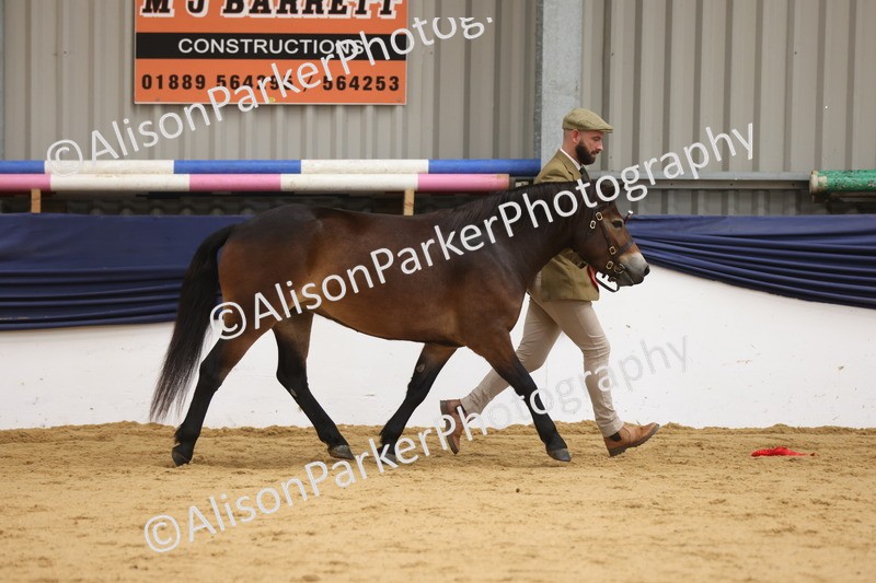 20260913-1310 - Youngstock Championship
