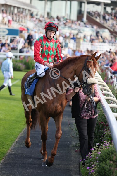 yr05092021r5-10 - Race 5 4.20pm Little Green Rascals Children's Nurseries Stakes