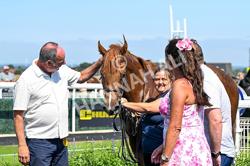 140726-Race 2-What A Tahoo-9953 - Race 2 14.47pm Young Guns Handicap