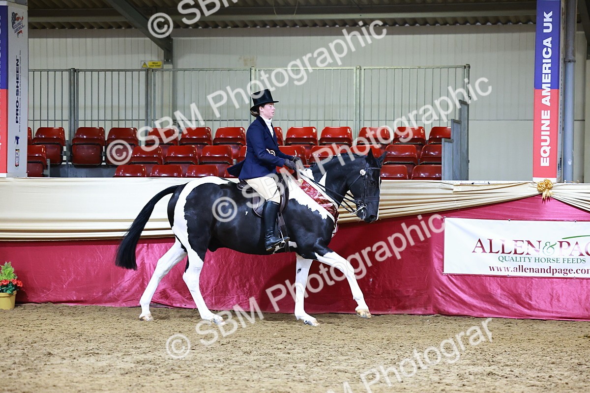 SBM_23582 - class 906 - Supreme Final - Ridden Pre Vet