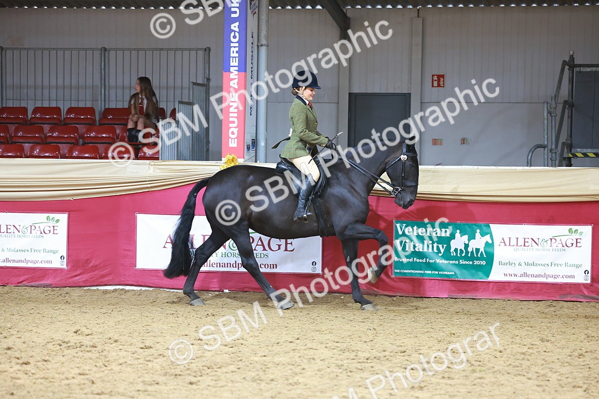 SBM_12733 - HOYS Veteran Qualifier - Ridden Champ