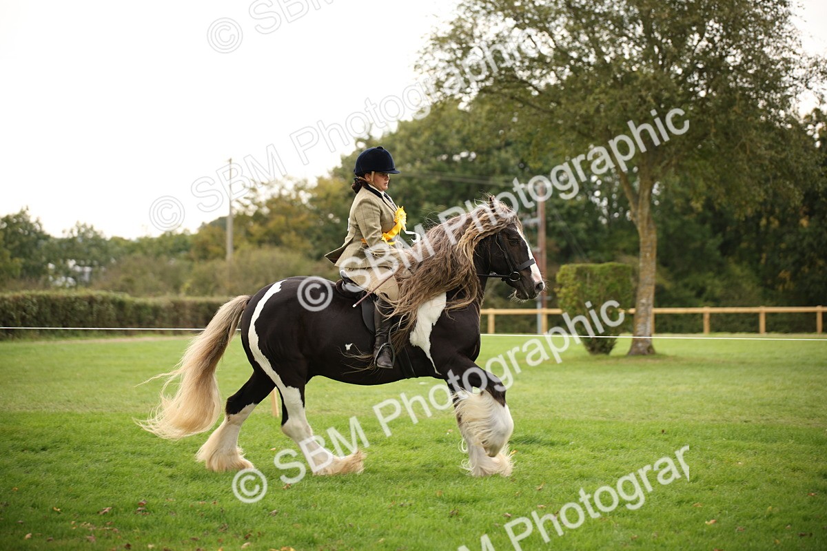 SBM_73603 - S68 - Traditional Cob Ridden