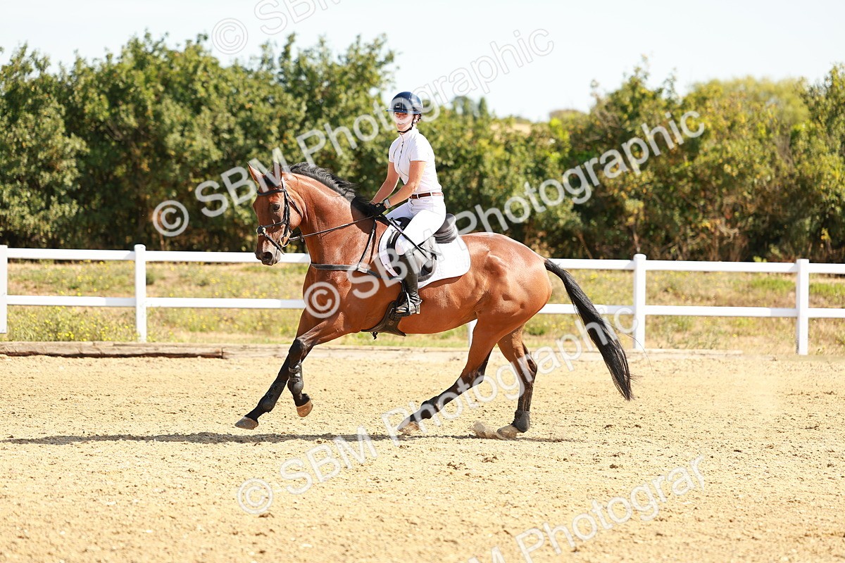 SBM_002646 - Class 9 - Senior British Novice - 90cm