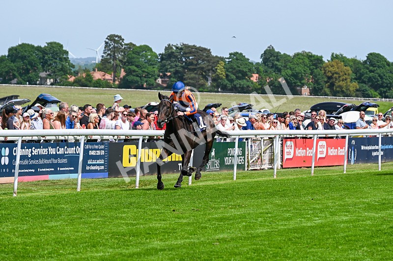 300526-Race 1-Sportingsilvermine-4137 - Race 1 13.45pm Napoleons Casino Hull Handicap