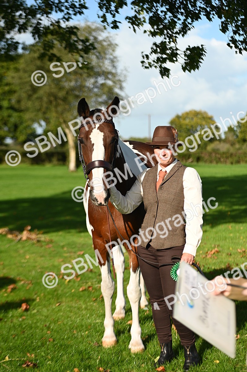 SBM_15805 - S1 - TSR in Hand Horse & Pony Showing