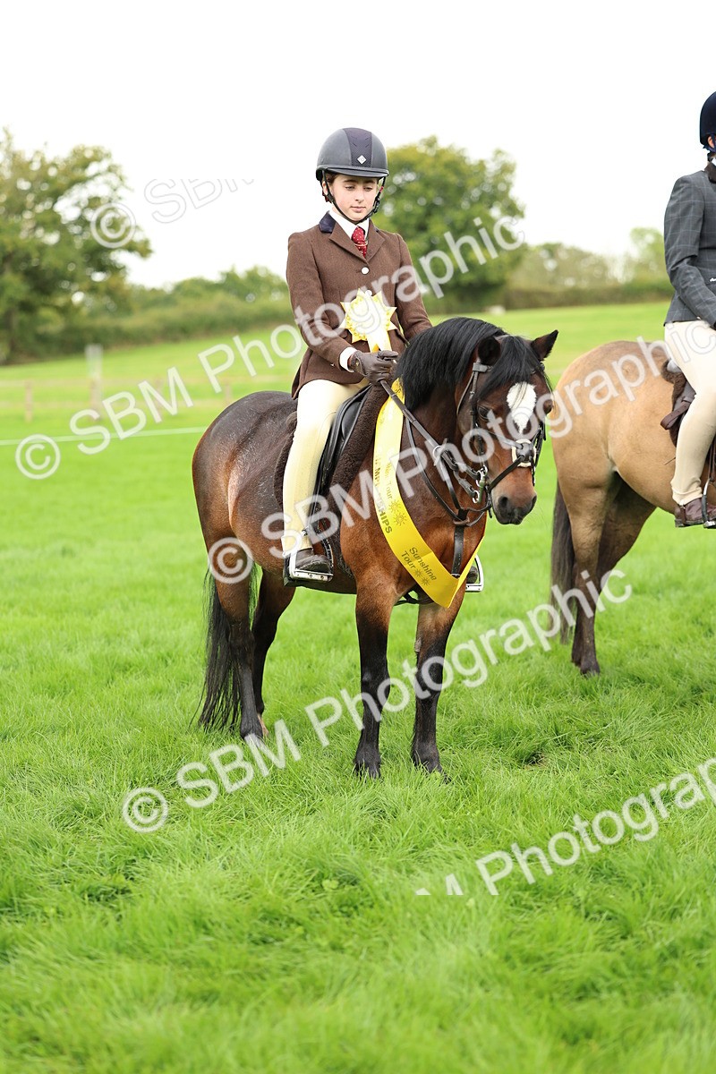 SBM_41885 - S32 - Mountain & Moorland Working Hunter Pony