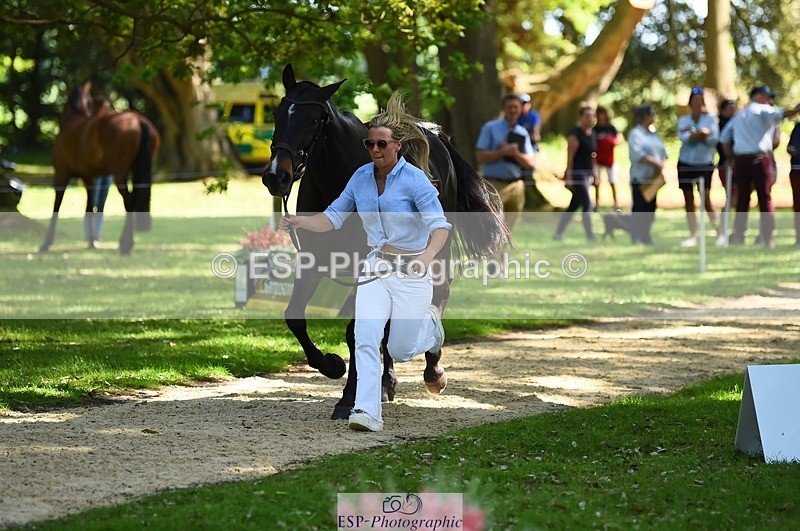 230524-152912-00296 - 351-TRINITY_CAVALIER-Henrietta_Horsley-gubbins-WEDTrotUp+DR