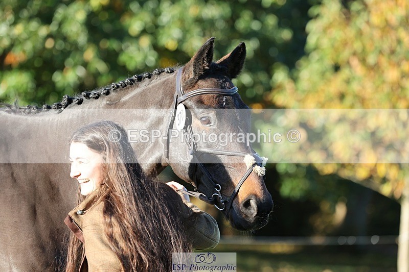 241027-084119-14744 - 377-Bethany.Hull-CARRICK.DIAMOND.OLIVER