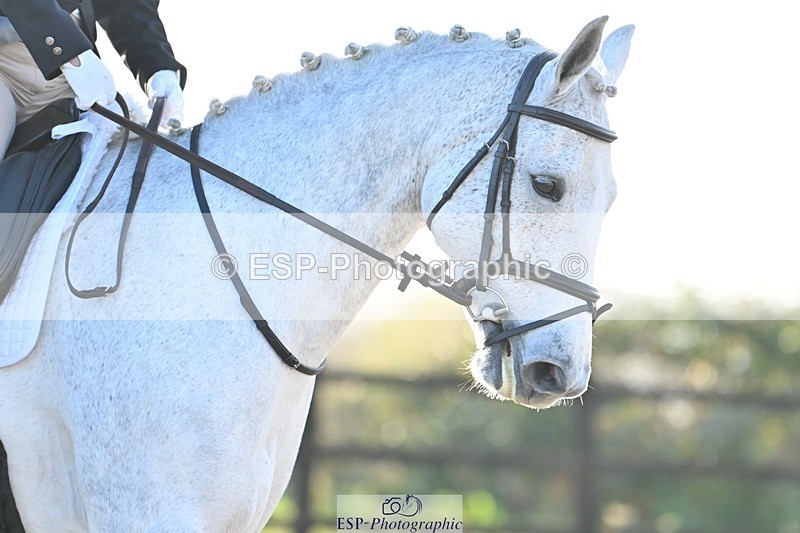 231105-083012-00393 - Cls 3 Prelim 12 Start to 9.50 break