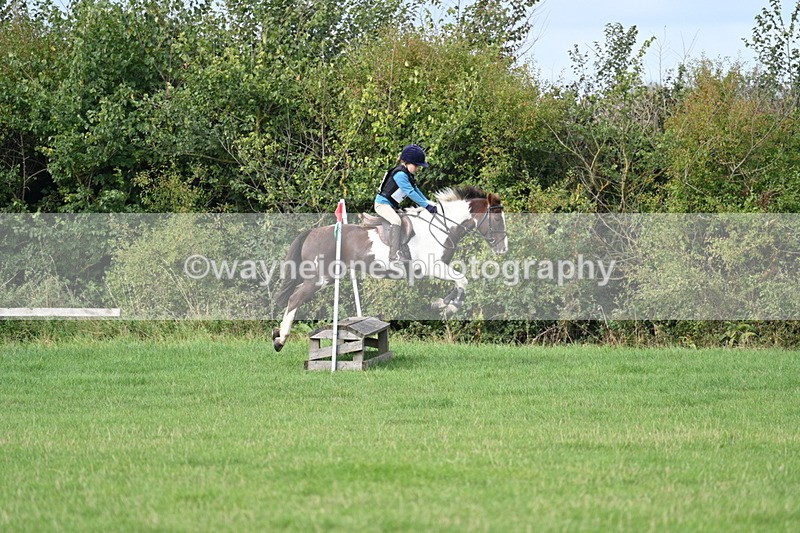 WJ7_8414 - 60cm Pairs