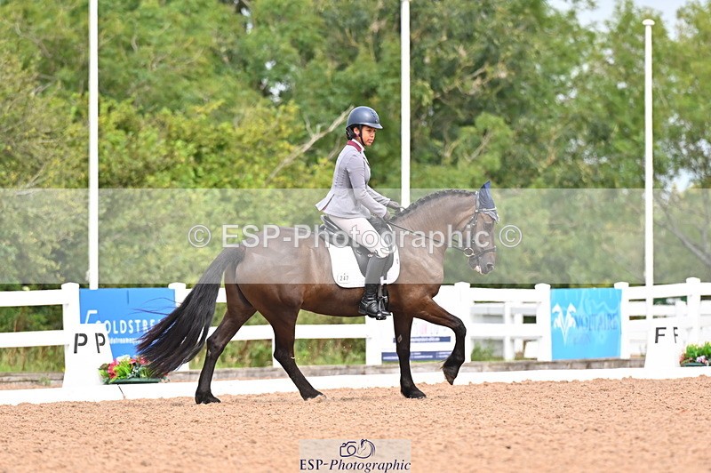 240817A-115010-08150 - 247-Maddie.Caunt-Desach.Cinderella