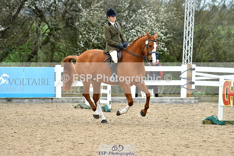 230416A-143022-05238 - Cls 74 Warmblood