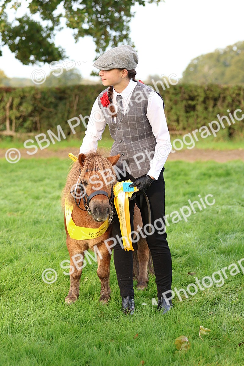 SBM_54906 - S39 - Starters In Hand Showing