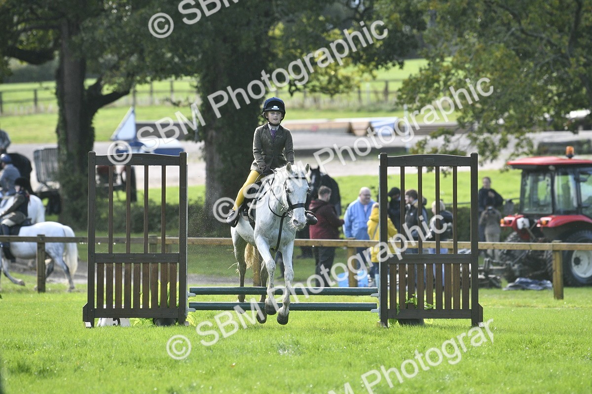 SBM_37205 - S31 - Novice & Newcomer Working Hunter Pony