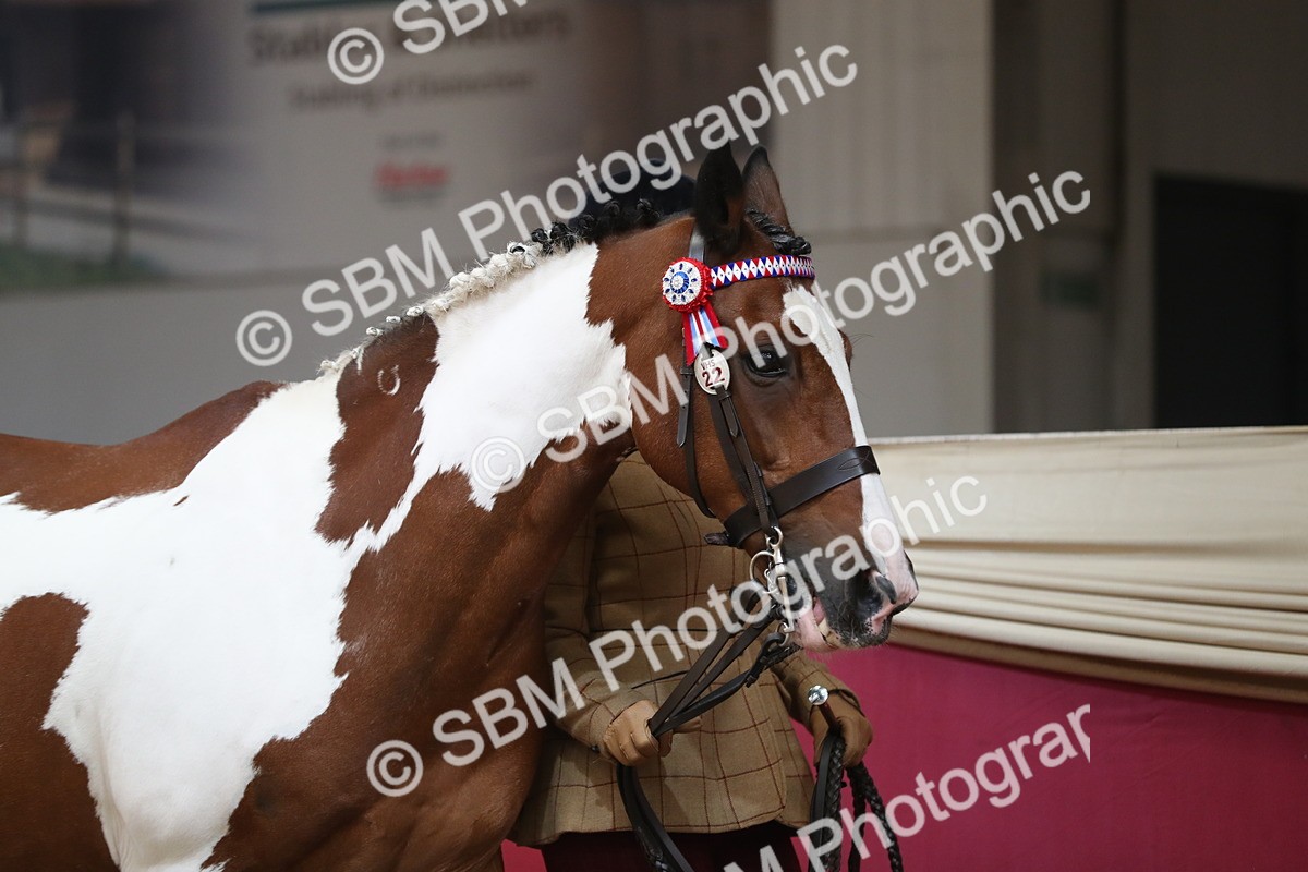 SBM_04910 - Class 8R- Regional -IH Veteran