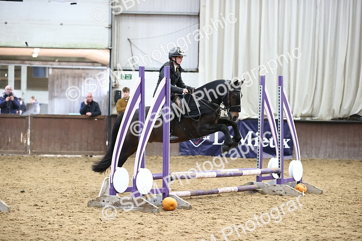 SBM_001303 - Class 3 - Horse & Hound 60cm