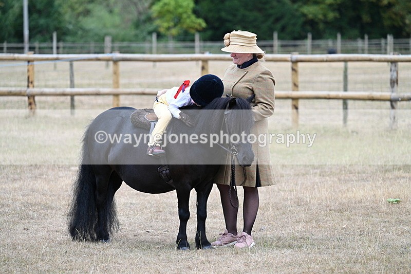 WJ7_8394 - Class 4 Prettiest Mare up to 14.2hh