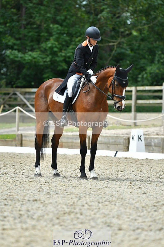 230525-113449-04056 - 201-JAEGER_MASTER-Tom_Woodward-WEDTrotUp+DR