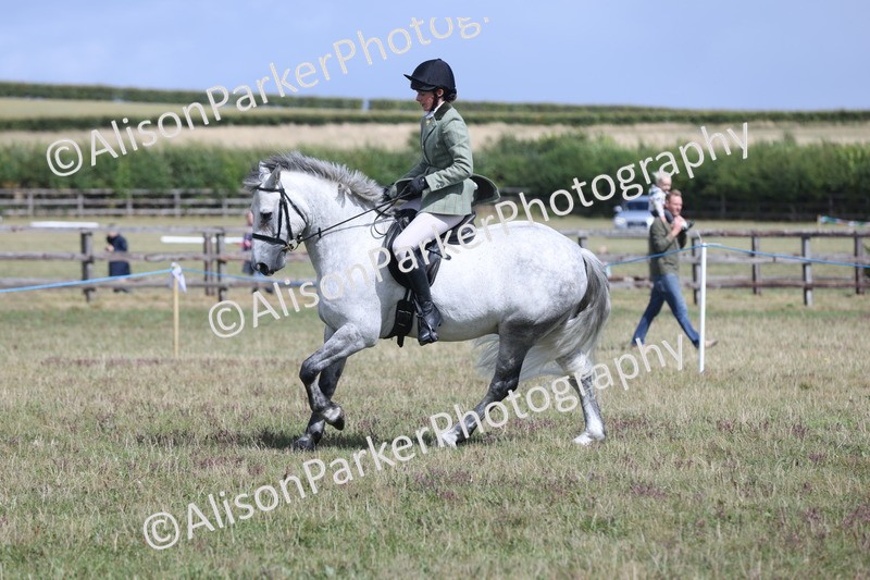 20250831-2990 - Class 19 - Mountain and Moorland