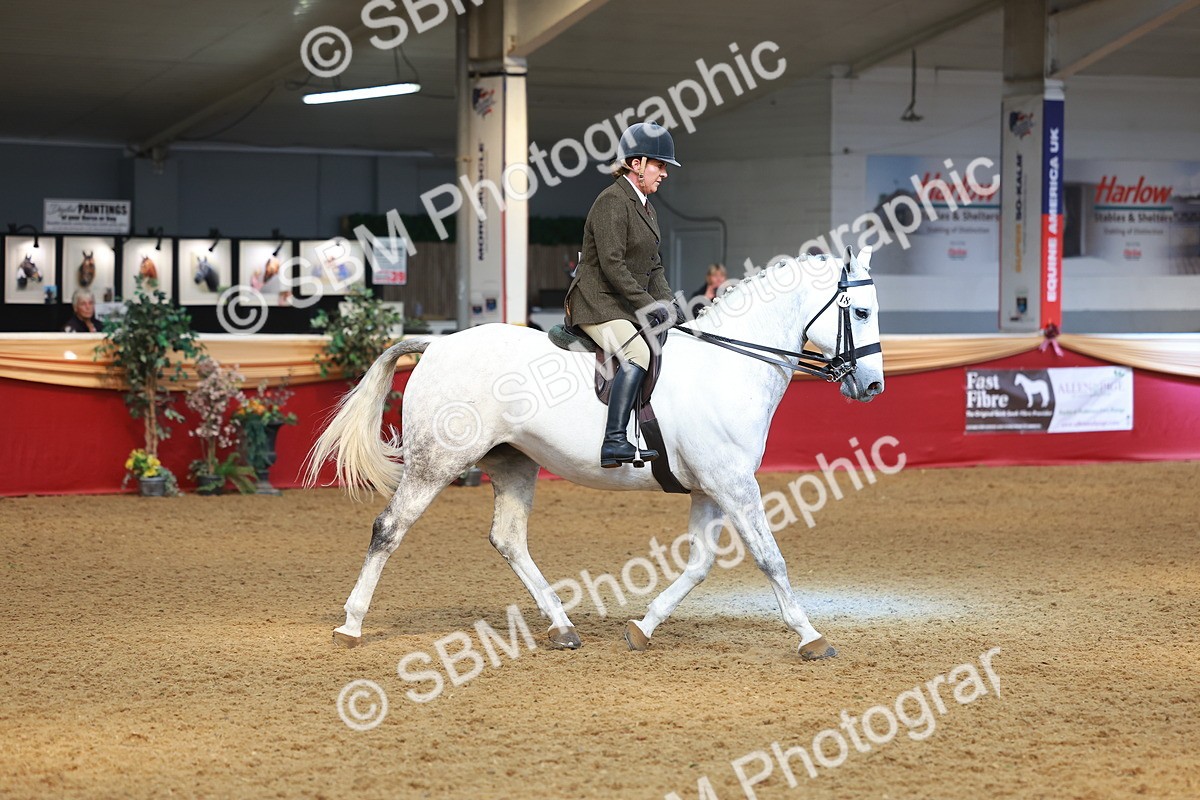 SBM_10614 - Class 103 - HOYS Veteran Qualifier - Ridden Pre Vet