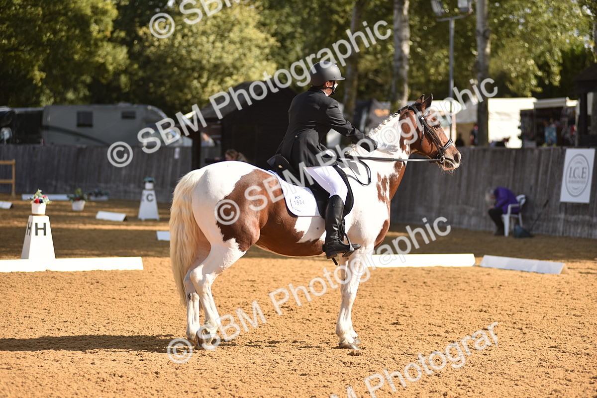SBM_02949 - D4 - Small Tour Championship Intro 4