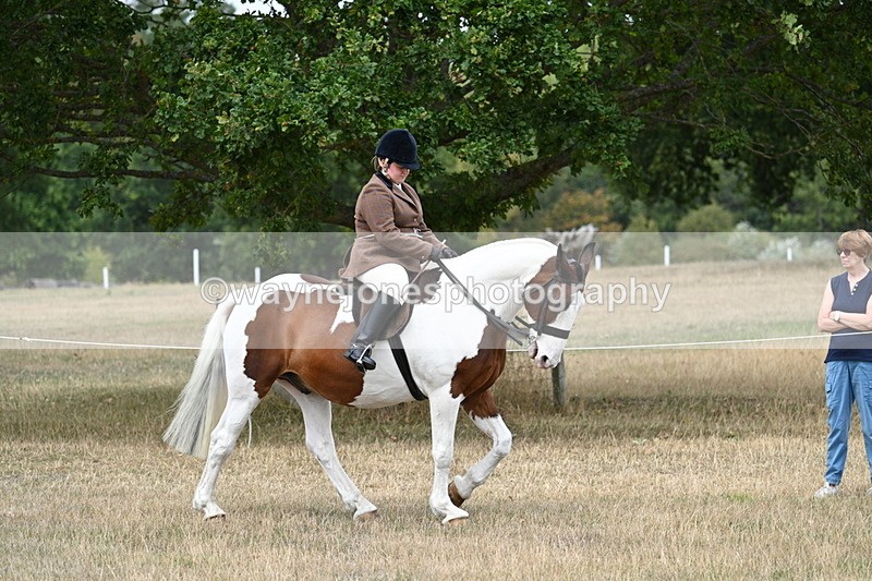 WJ7_4643 - Class 12 Ridden Cob