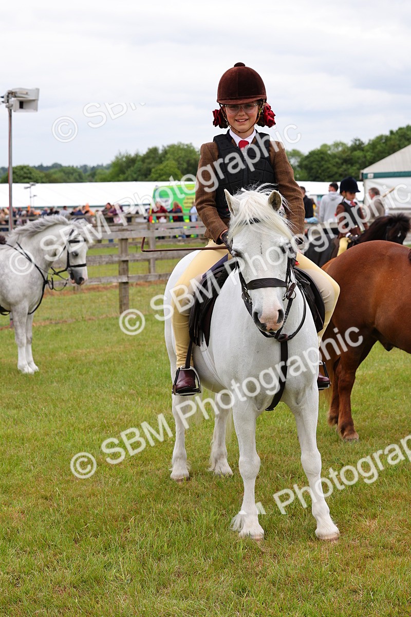 SBM_08842 - Class 42-43 - LIHS BSPS Heritage Working Sports Pony