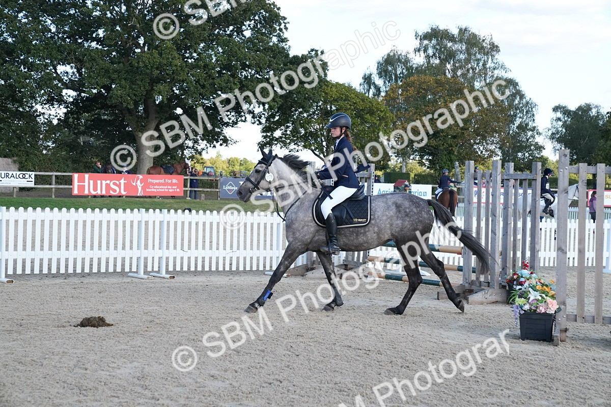 SBM_28073 - J43 - Super Speedy Scurry Open - 60cm