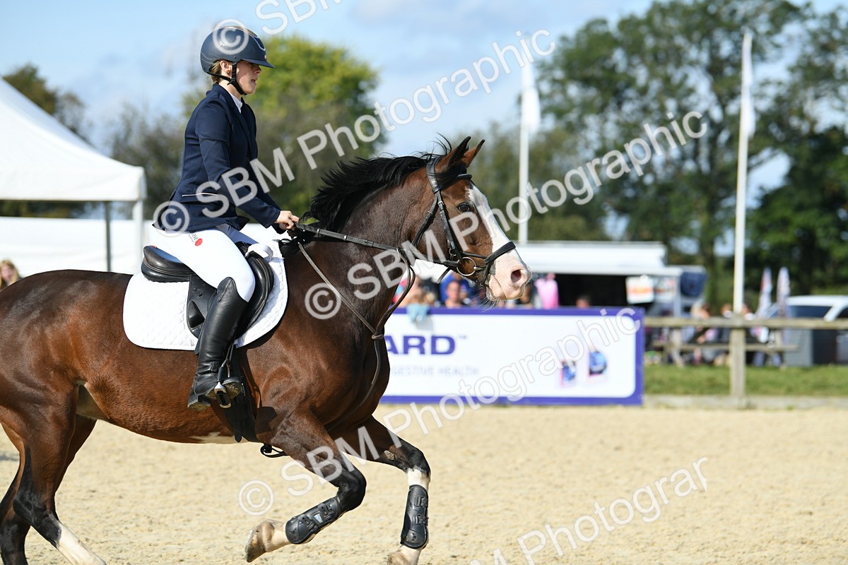 SBM_61694 - j25 - Junior Horse 80cm Championship