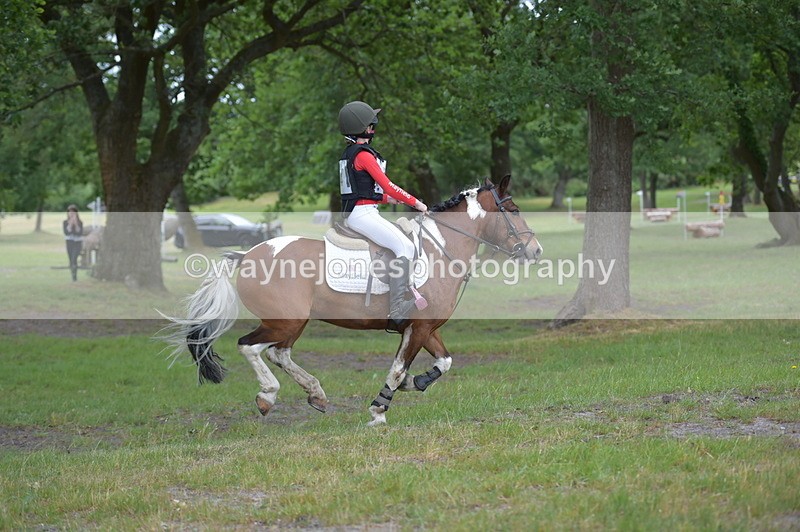 NGP_6649 - Time 10:50 to 11:00