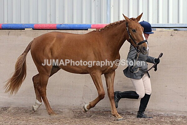 SIAL9609 - Indoor Classes